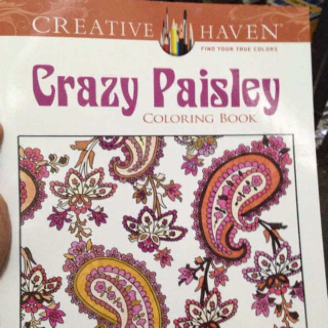Creative Haven Crazy Paisley